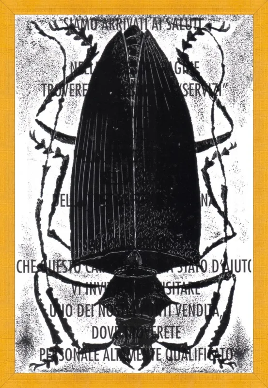 Black Beetle on Words by Tennopent Sooster for Artfully Walls