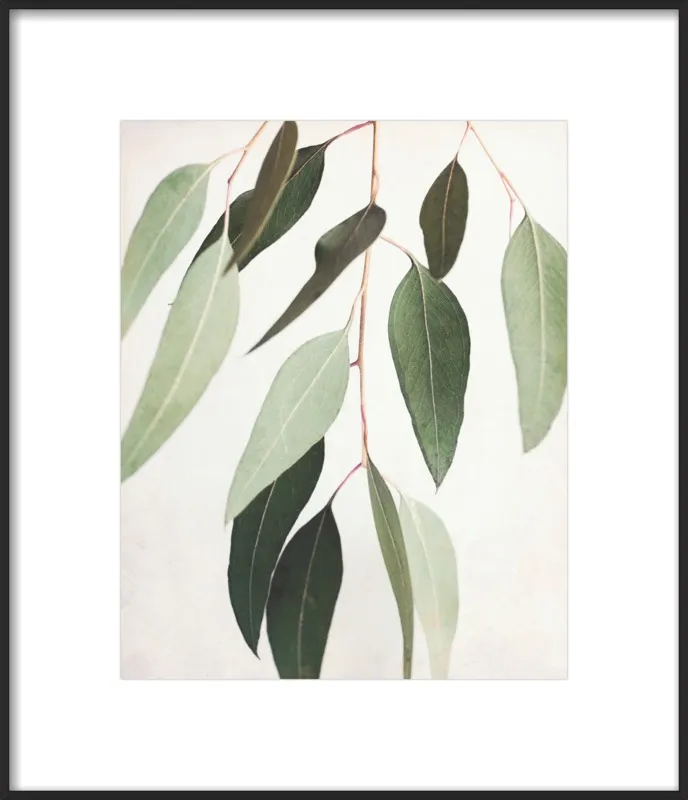 Eucalyptus Spring Three by Lupen Grainne for Artfully Walls