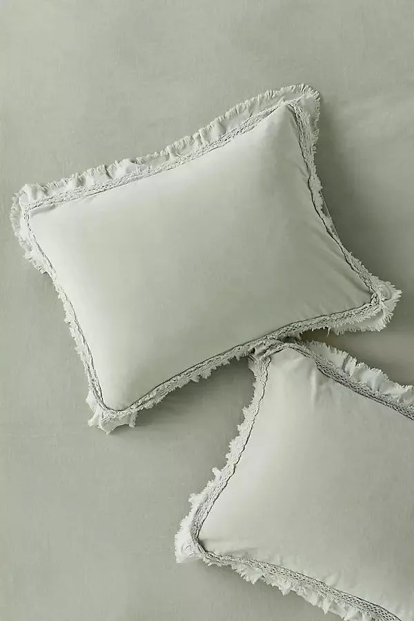 Victoria Cotton Velvet Ruffle Shams, Set of 2