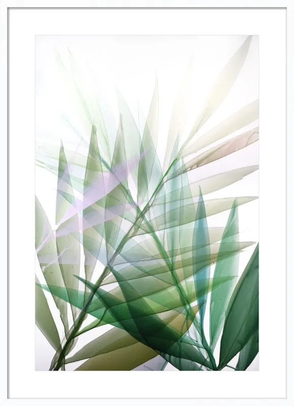Tropical Study no. 8 by Marina Dunbar  for Artfully Walls