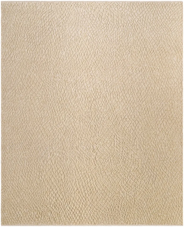 Reyyan Beige Indoor 2' x 3' Handmade Rug