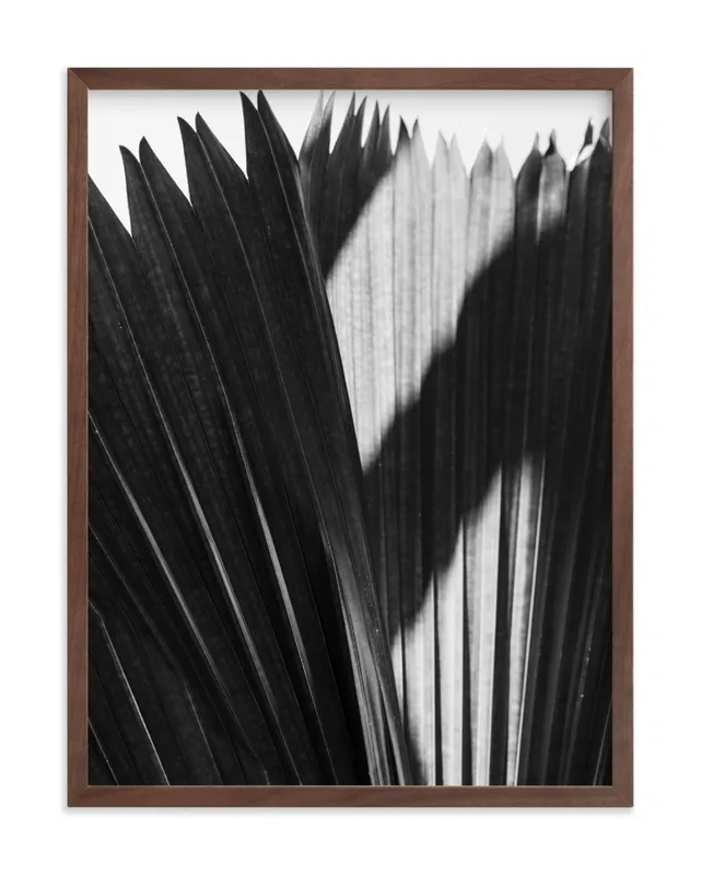Palmery 2 Limited Edition Fine Art Print