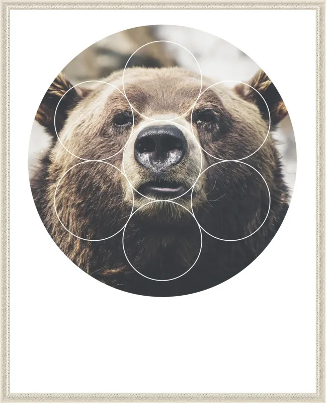 Big Bear Buddy - Geometric Photography by Emiliano Deificus for Artfully Walls