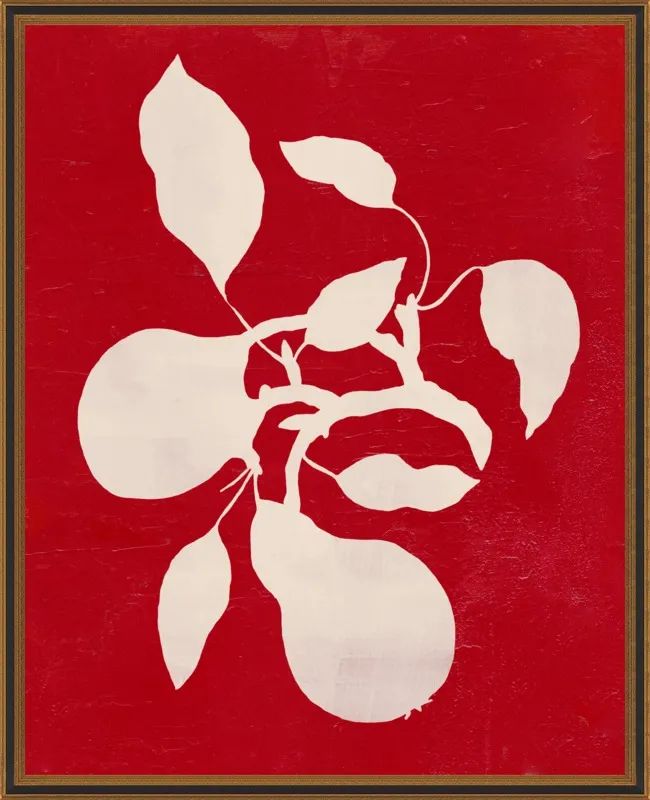 pears by Ruti Shaashua for Artfully Walls