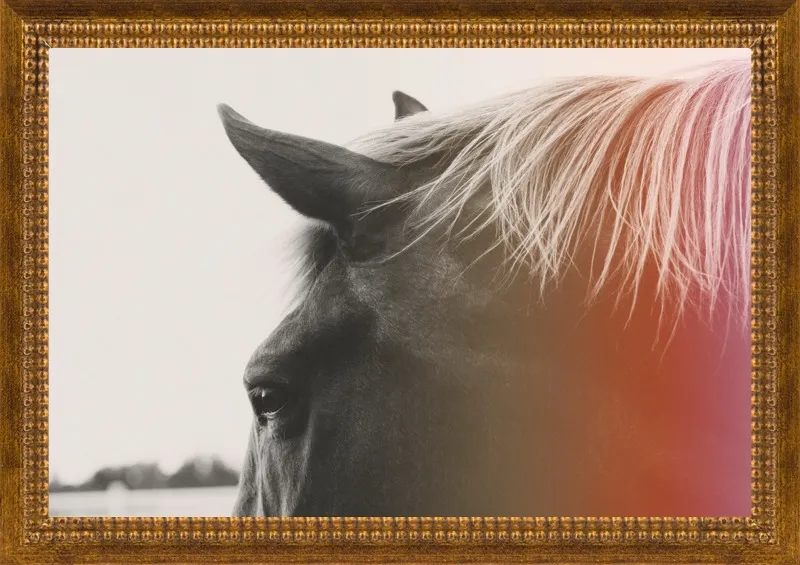 Pink Pony by Alicia Bock for Artfully Walls