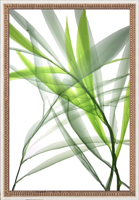 Tropical Study no. 3 by Marina Dunbar  for Artfully Walls