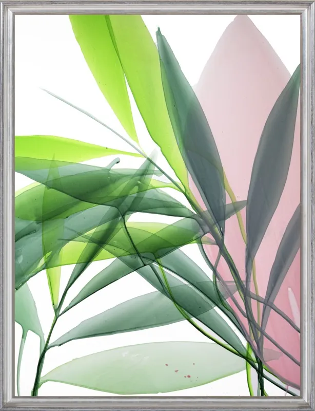 Tropical Study no. 15 by Marina Dunbar  for Artfully Walls