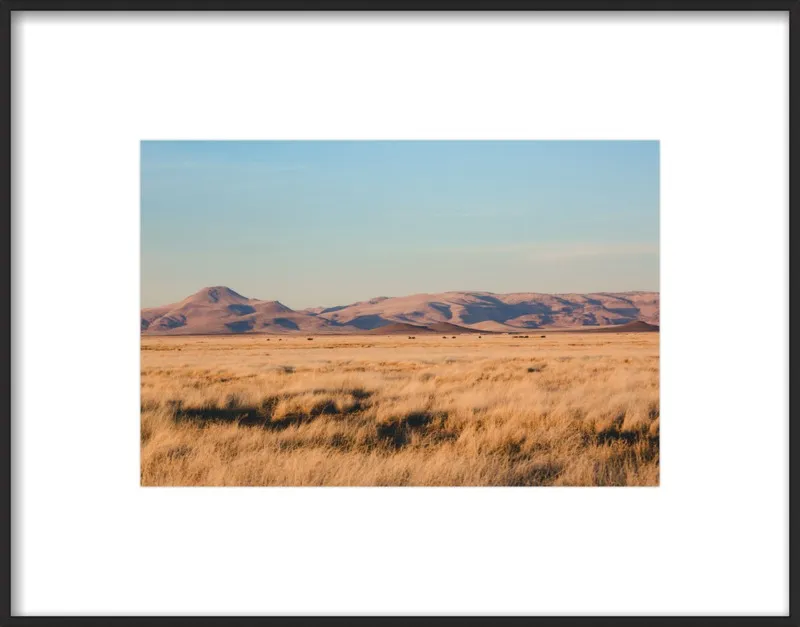 Where the Buffalo Roam by Ann Hudec for Artfully Walls