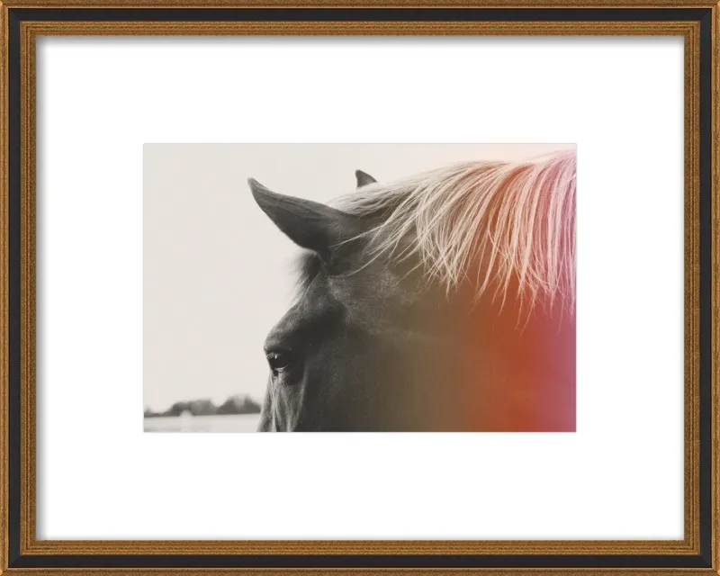 Pink Pony by Alicia Bock for Artfully Walls