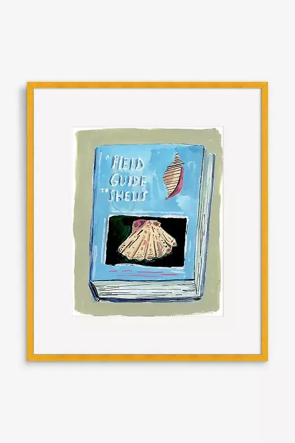 A Field Guide to Shells Book Wall Art