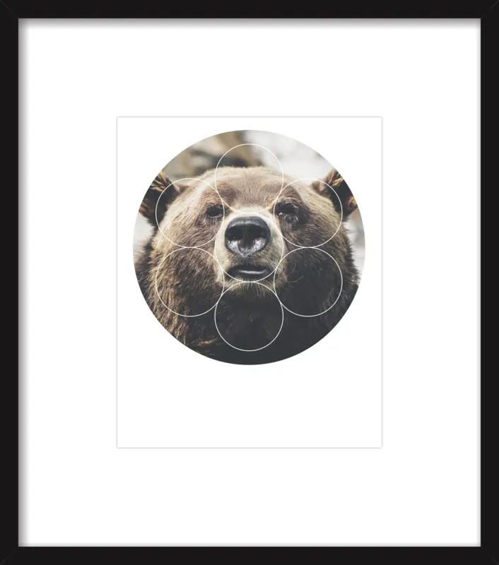 Big Bear Buddy - Geometric Photography by Emiliano Deificus for Artfully Walls
