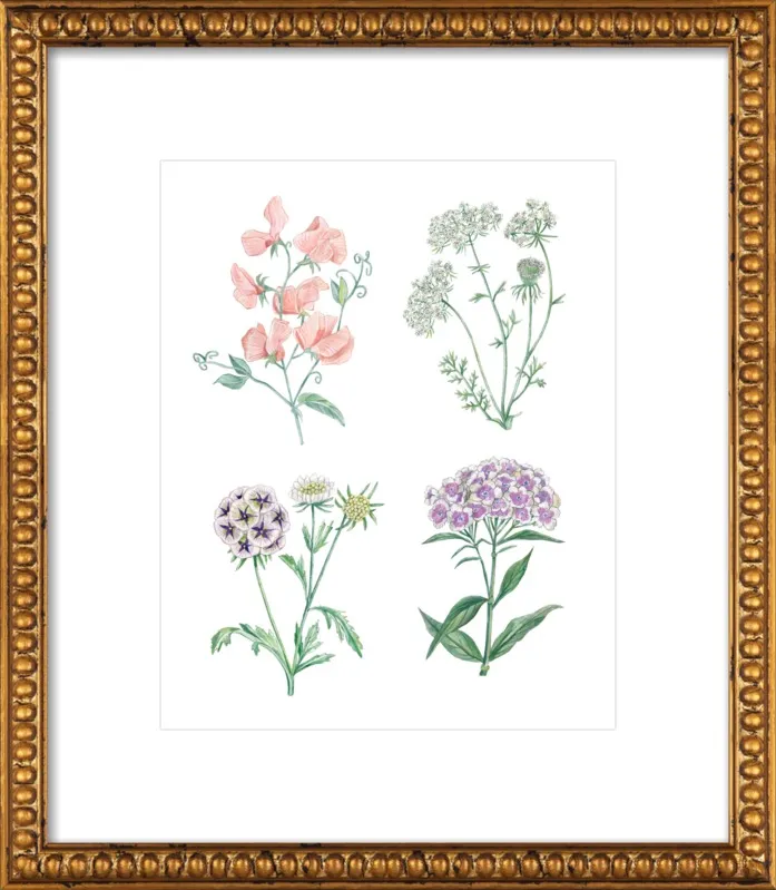 Botanics by Lana Effron for Artfully Walls