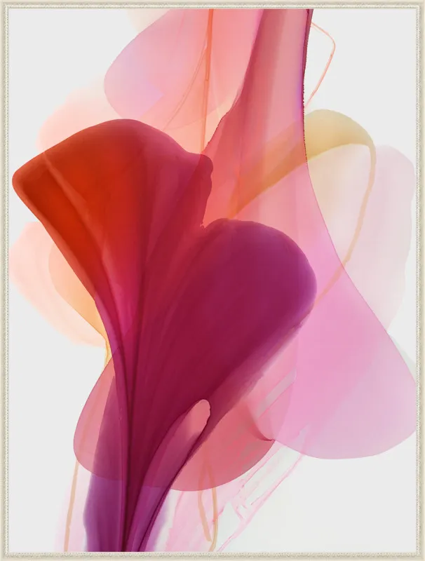 Abstract Flora Bloomlands 33 by Marta Spendowska for Artfully Walls