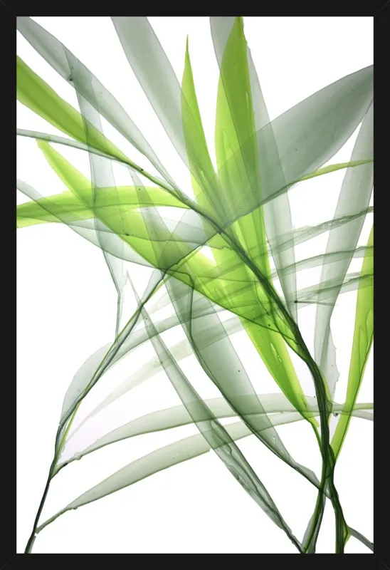 Tropical Study no. 3 by Marina Dunbar  for Artfully Walls