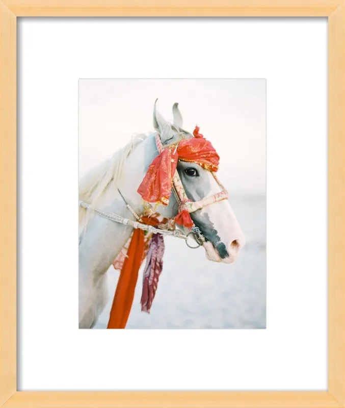 Marwari by Andrew Jacona for Artfully Walls