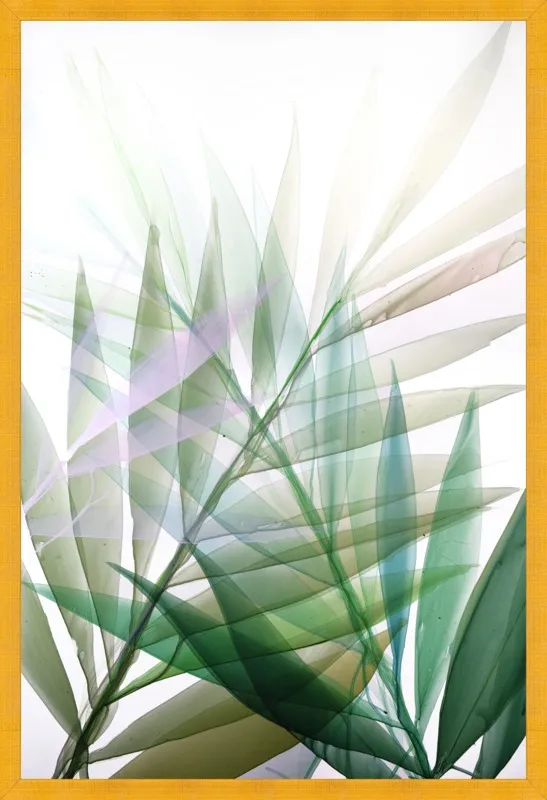 Tropical Study no. 8 by Marina Dunbar  for Artfully Walls