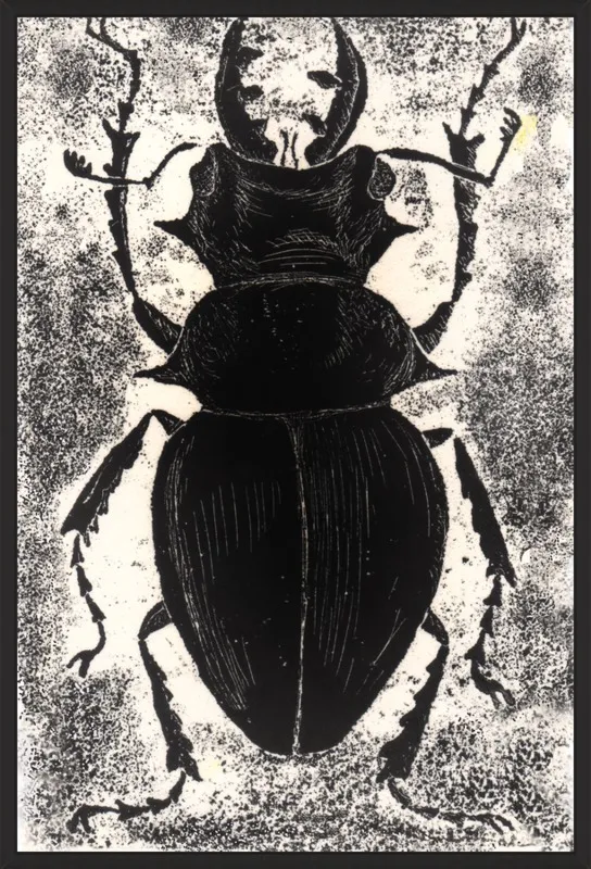 Black Beetle on White by Tennopent Sooster for Artfully Walls