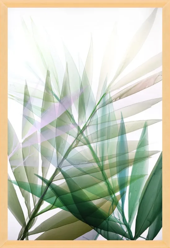 Tropical Study no. 8 by Marina Dunbar  for Artfully Walls