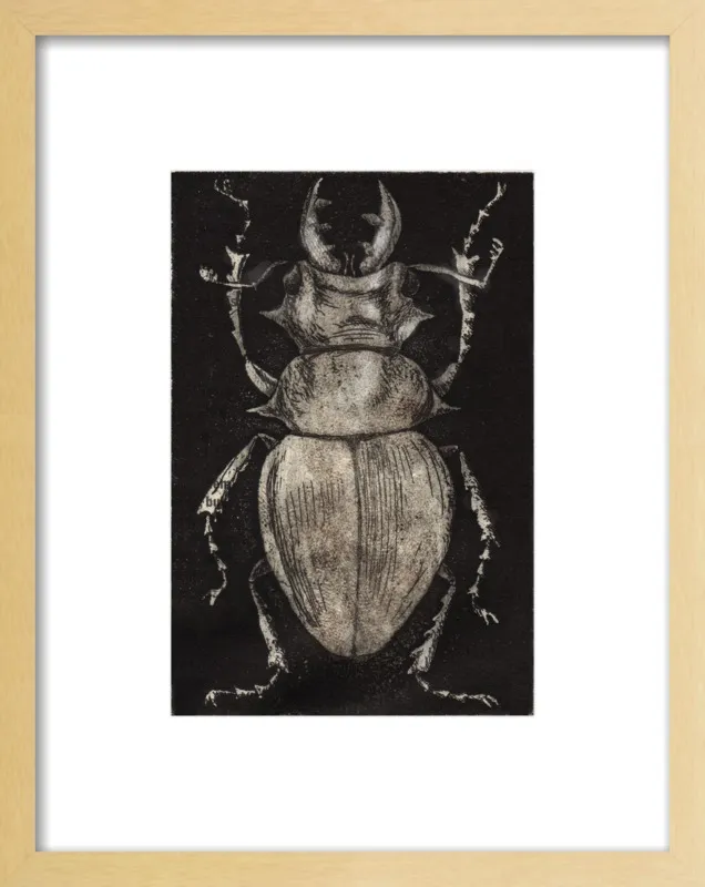Grey Beetle on Black by Tennopent Sooster for Artfully Walls
