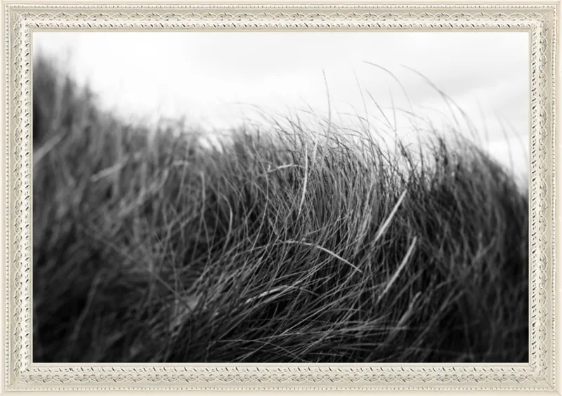 Beach Grass #3 by Alicia Bock for Artfully Walls