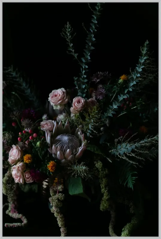 Protea Still Life  by Emilia Jane Schobeiri for Artfully Walls