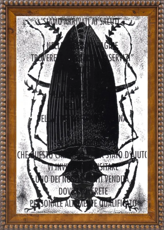 Black Beetle on Words by Tennopent Sooster for Artfully Walls