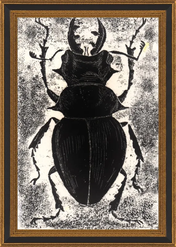 Black Beetle on White by Tennopent Sooster for Artfully Walls