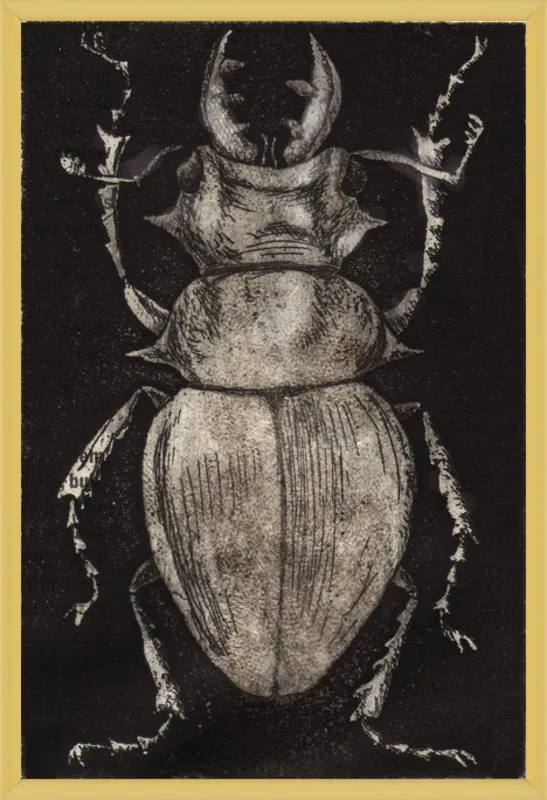 Grey Beetle on Black by Tennopent Sooster for Artfully Walls