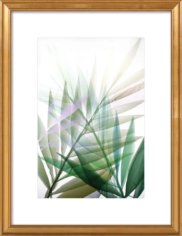 Tropical Study no. 8 by Marina Dunbar  for Artfully Walls