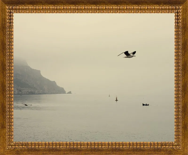 one day I will fly away by Ingrid Beddoes for Artfully Walls