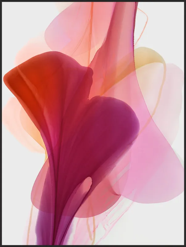 Abstract Flora Bloomlands 33 by Marta Spendowska for Artfully Walls