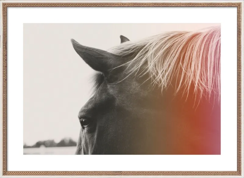 Pink Pony by Alicia Bock for Artfully Walls