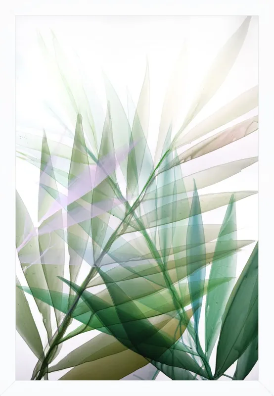 Tropical Study no. 8 by Marina Dunbar  for Artfully Walls