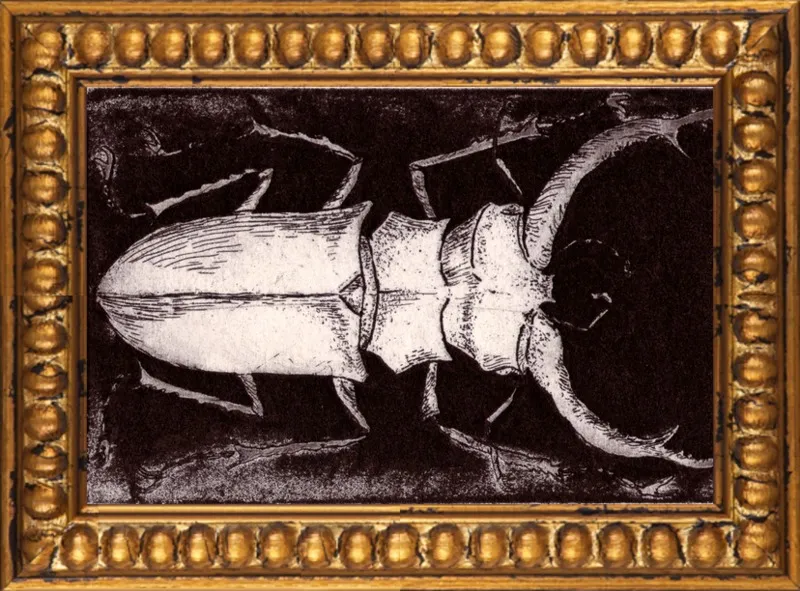 White Beetle on Dark Brown by Tennopent Sooster for Artfully Walls