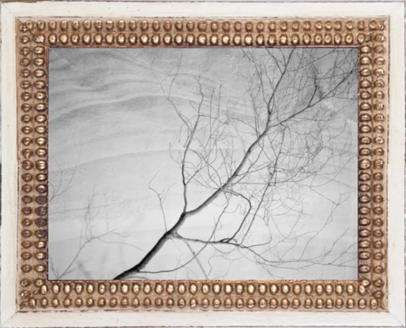 Tree by Yaniv Alon for Artfully Walls