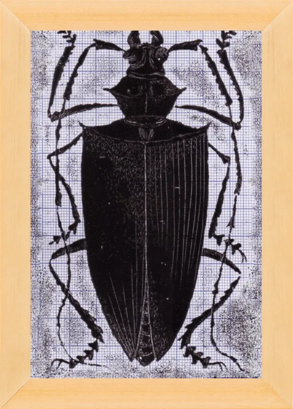 Black Beetle on Grey by Tennopent Sooster for Artfully Walls