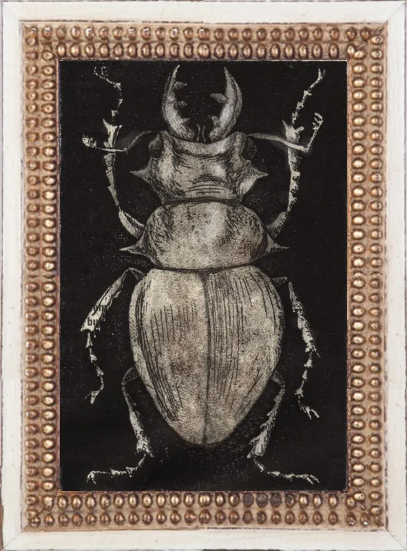 Grey Beetle on Black by Tennopent Sooster for Artfully Walls