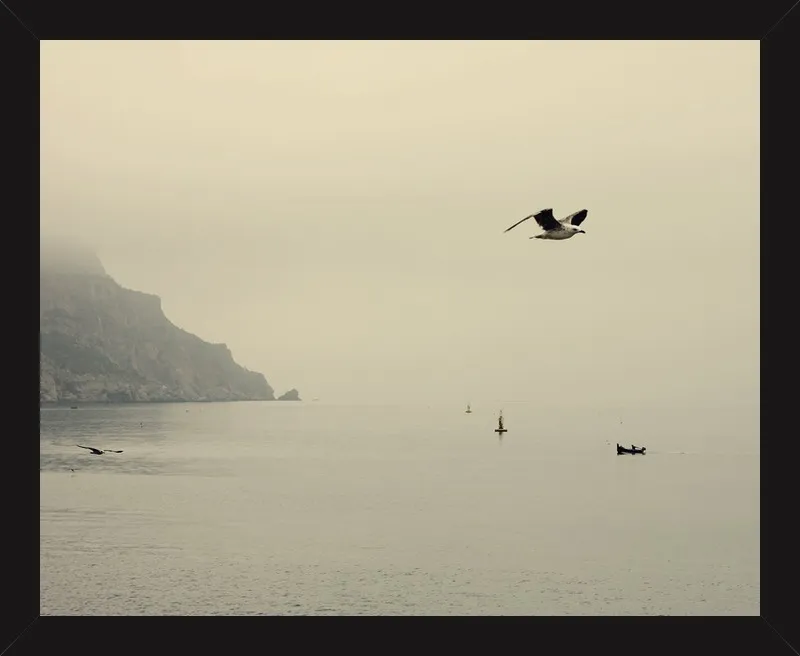 one day I will fly away by Ingrid Beddoes for Artfully Walls
