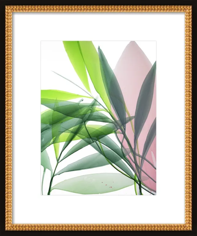 Tropical Study no. 15 by Marina Dunbar  for Artfully Walls