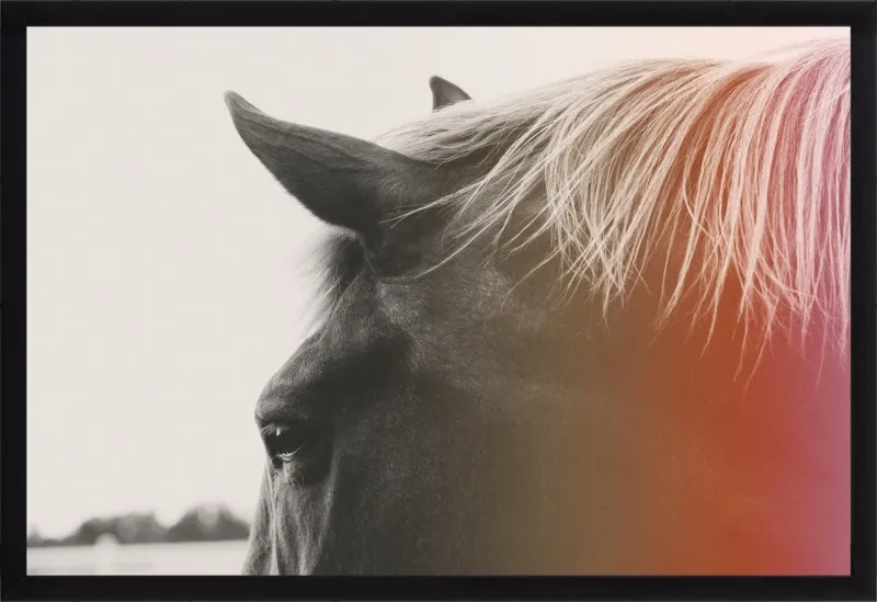 Pink Pony by Alicia Bock for Artfully Walls