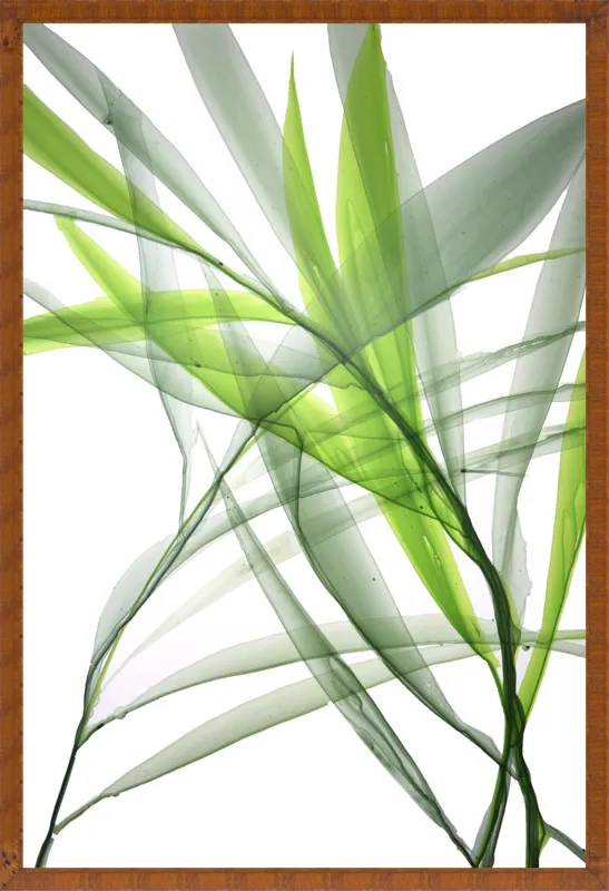 Tropical Study no. 3 by Marina Dunbar  for Artfully Walls