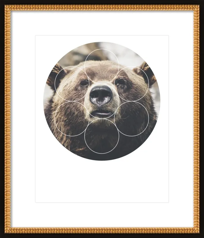 Big Bear Buddy - Geometric Photography by Emiliano Deificus for Artfully Walls