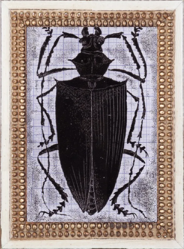 Black Beetle on Grey by Tennopent Sooster for Artfully Walls
