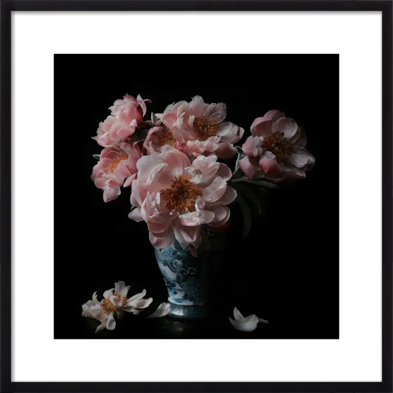 Pink Peonies  by Lucy Snowe for Artfully Walls