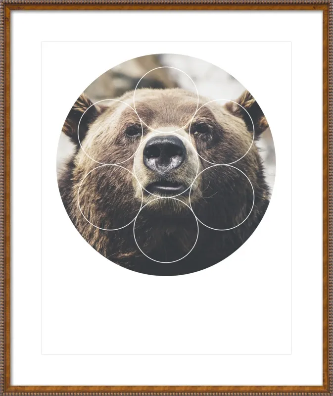 Big Bear Buddy - Geometric Photography by Emiliano Deificus for Artfully Walls