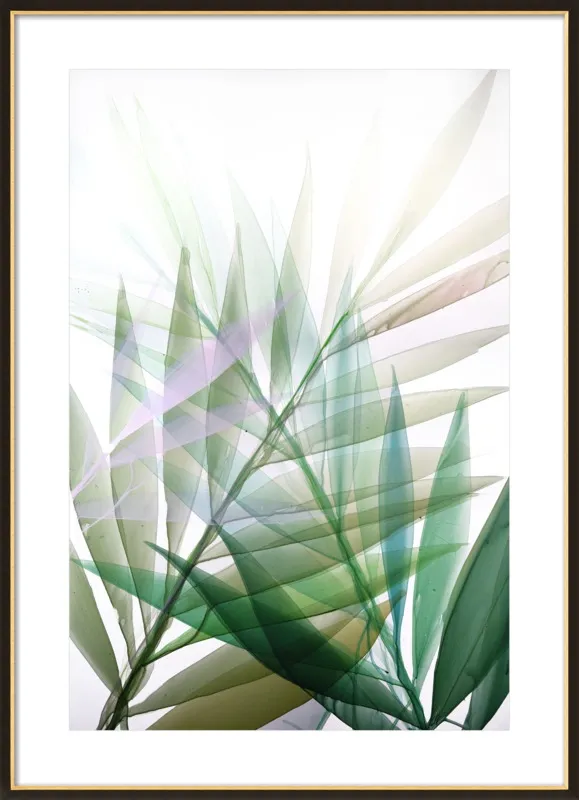 Tropical Study no. 8 by Marina Dunbar  for Artfully Walls