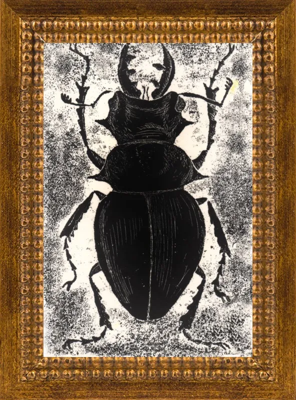 Black Beetle on White by Tennopent Sooster for Artfully Walls