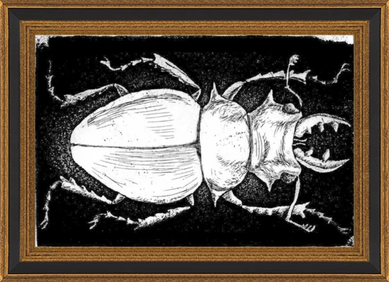 White Beetle on Black by Tennopent Sooster for Artfully Walls