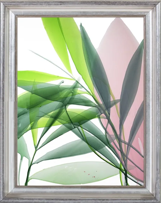 Tropical Study no. 15 by Marina Dunbar  for Artfully Walls
