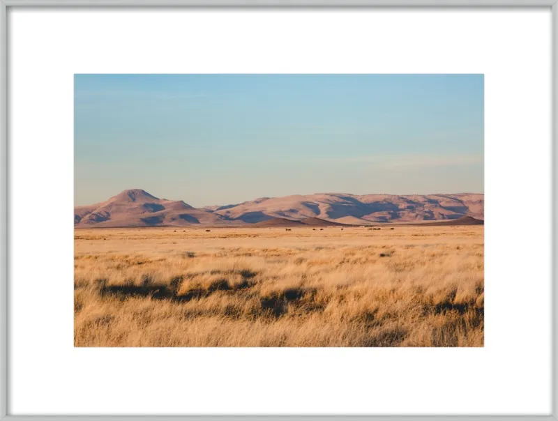 Where the Buffalo Roam by Ann Hudec for Artfully Walls